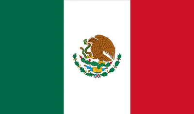 Duplex Board Paper Manufacturer and Exporter in Mexico