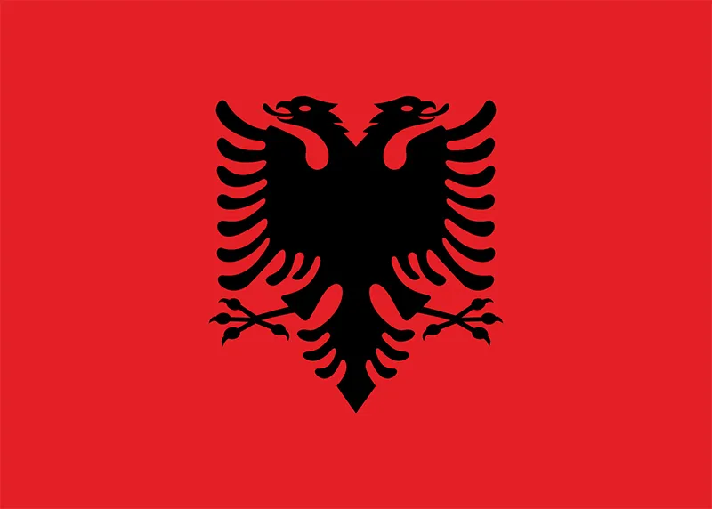 Duplex paper boards manufacturer and export to Albania