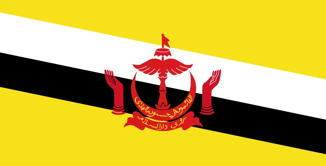 Duplex paper boards manufacturer and export to Brunei