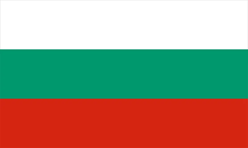 Duplex paper boards manufacturer and export to Bulgaria