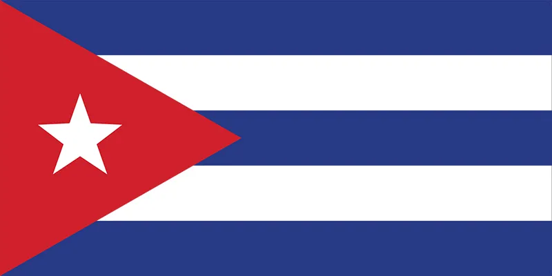 Duplex paper boards manufacturer and export to Cuba