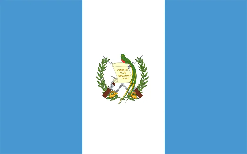 Duplex paper boards manufacturer and export to Guatemala