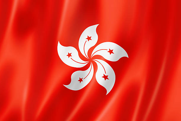 Duplex paper boards manufacturer and export to Hong Kong