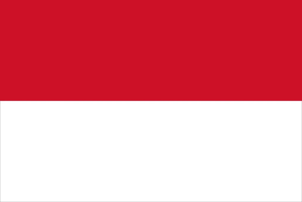 Duplex paper boards manufacturer and export to Indonesia