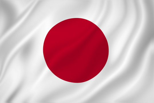 Duplex paper boards manufacturer and export to Japan