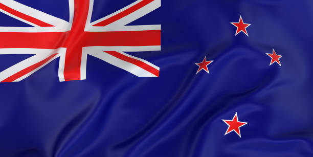 Duplex paper boards manufacturer and export to New Zealand