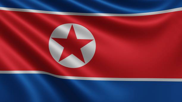 Duplex paper boards manufacturer and export to North Korea