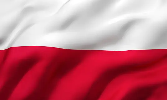 Duplex paper boards manufacturer and export to Poland