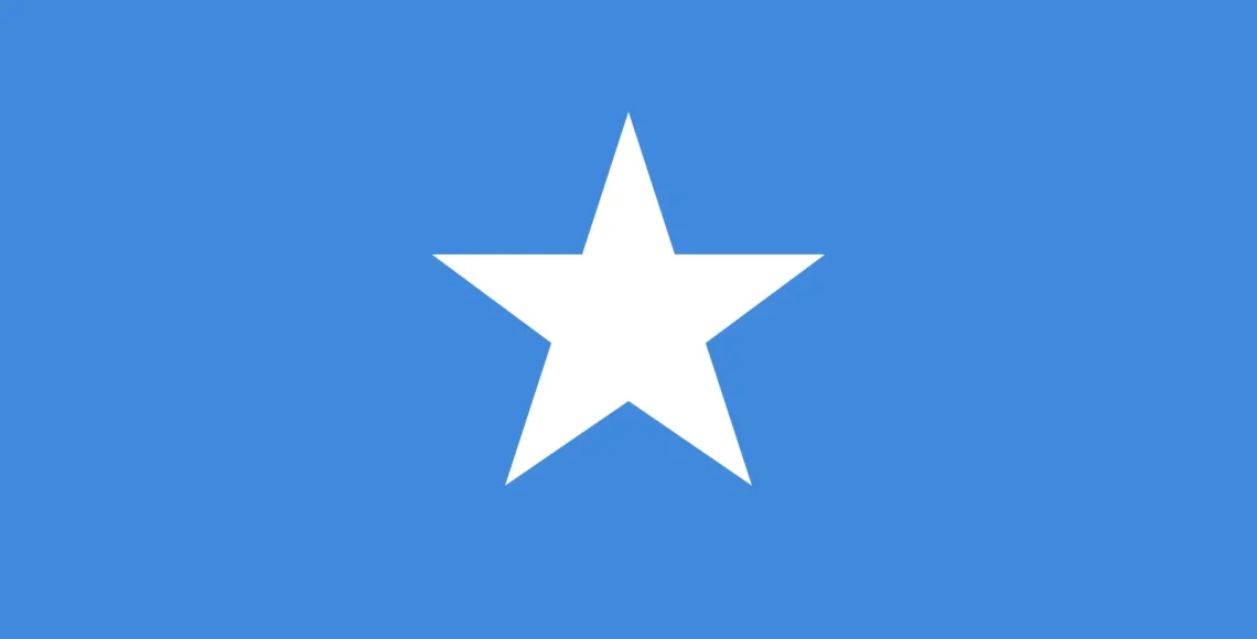 Duplex paper boards manufacturer and export to Somalia