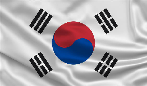 Duplex paper boards manufacturer and export to South Korea