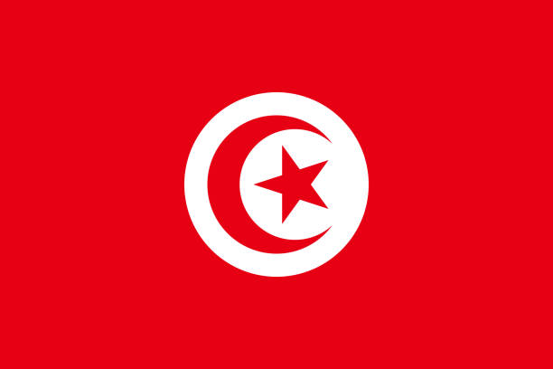 Duplex paper boards manufacturer and export to Tunisia