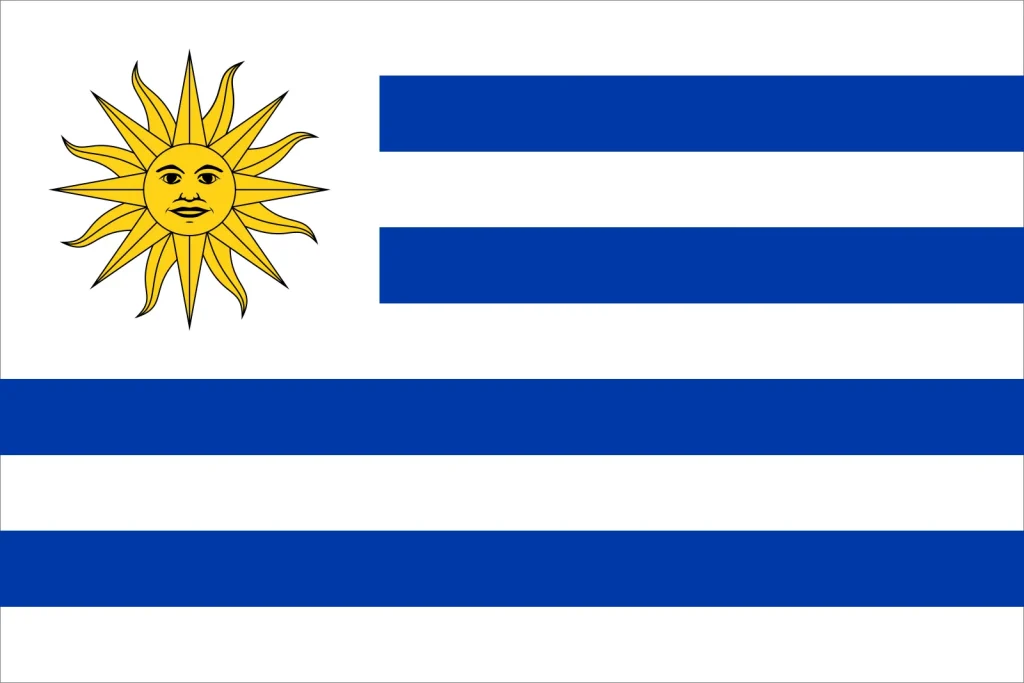 Duplex paper boards manufacturer and export to Uruguay